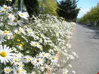 پارک ساحلی شریعتی ( مخیری )