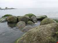 پارک ساحلی شریعتی ( مخیری )