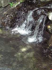 چشمه آبگرم علی داشی