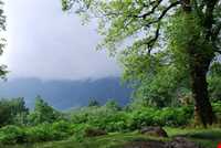 روستای کانرود