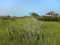 روستای کانرود