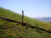 ییلاق دیلمان