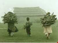 ییلاق دیلمان