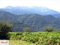 ییلاق دیلمان