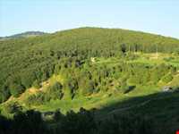 ییلاق دیلمان