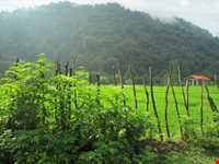 ییلاق دیلمان