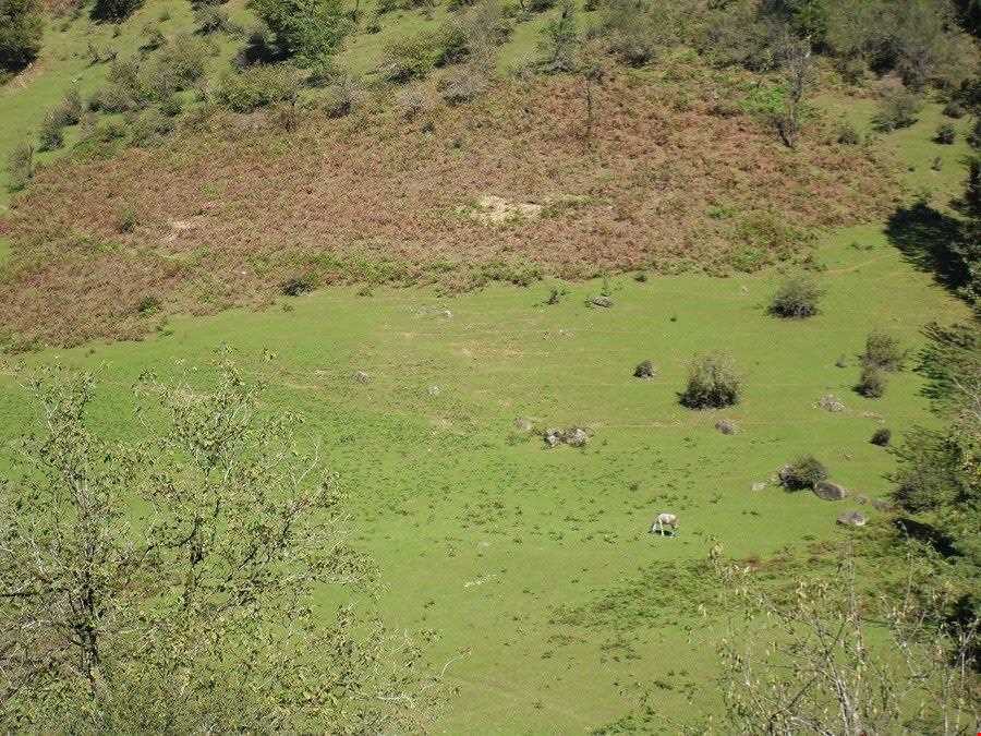 روستای سیبلی