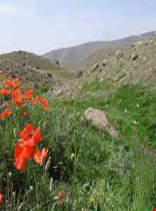 روستای کنزق