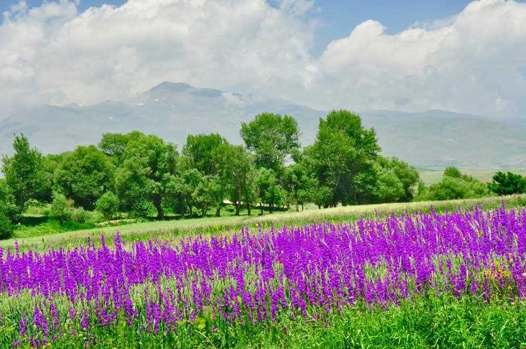 روستای کنزق