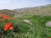 روستای کنزق