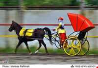 اسب خزری یا اسب کاسپین