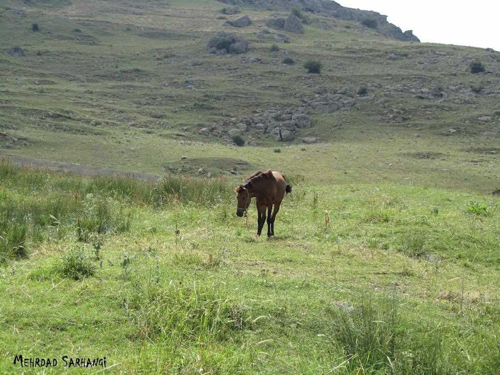 Sarein Atashgah village