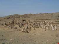 محوطه باستانی شهریری (شهر یئری)