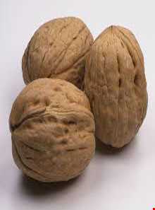 آغوز بازی ( گردو بازی )