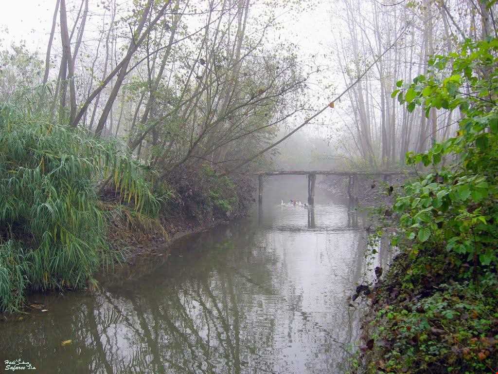 رفتن به شکار سنگ