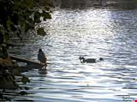 رفتن به شکار سنگ