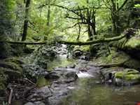 رفتن به شکار سنگ