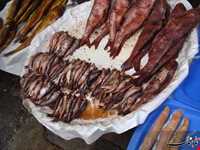 Shoure Kuli (Salt Fish)