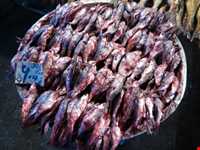 Shoure Kuli (Salt Fish)