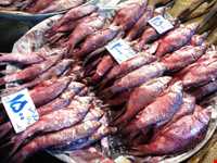 Shoure Kuli (Salt Fish)