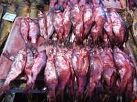 Shoure Kuli (Salt Fish)