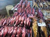 Shoure Kuli (Salt Fish)