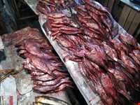 Shoure Kuli (Salt Fish)