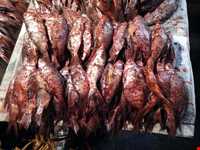 Shoure Kuli (Salt Fish)