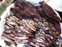 Shoure Kuli (Salt Fish)