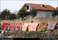 آداب و رسوم نوروزی در ضیابر