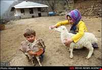 آداب و رسوم نوروزی در ضیابر