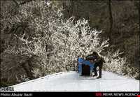 آداب و رسوم نوروزی در ضیابر