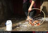 آداب و رسوم نوروزی در ضیابر