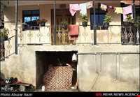 آداب و رسوم نوروزی در ضیابر