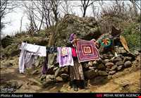 آداب و رسوم نوروزی در ضیابر