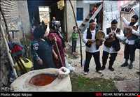 آداب و رسوم نوروزی در ضیابر