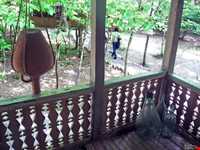 رنگ آمیزی خانه ( کَه ویشوشتِه )