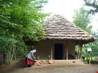 رنگ آمیزی خانه ( کَه ویشوشتِه )