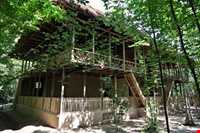 رنگ آمیزی خانه ( کَه ویشوشتِه )