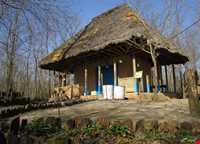 رنگ آمیزی خانه ( کَه ویشوشتِه )