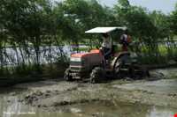 ploughing 