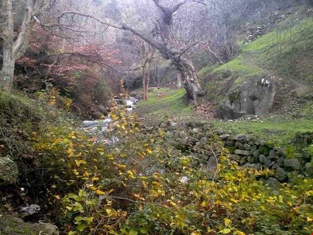 cheshme bar (Fountain) - kalashtar village