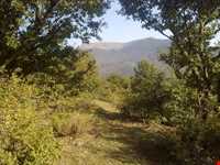 cheshme bar (Fountain) - kalashtar village