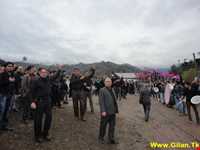 محرم در املش