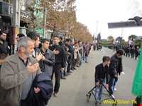 محرم در املش