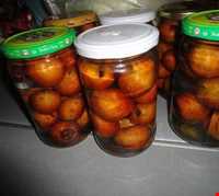 شب یلدا در املش