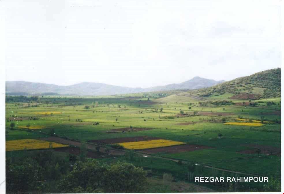 روستای شوی