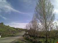 روستای شوی