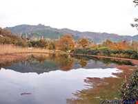 Soustan wetland