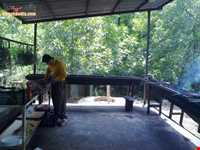 روستای مجسه